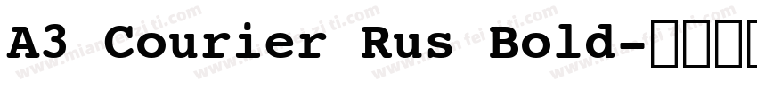 A3 Courier Rus Bold字体转换